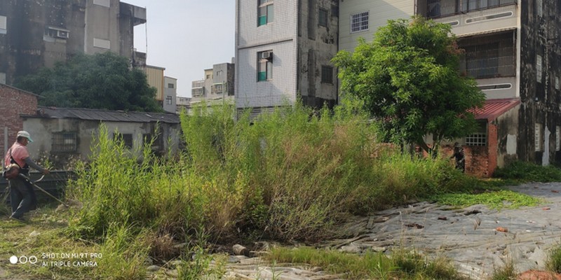 台南除草, 台南除草割草, 台南雜草清理, 台南除草整地, 台南除草先生, 台南除草割草, 台南割草除草, 
						台南空地除草, 台南空地割草, 台南除草, 台南環境整理, 台南庭園整修, 台南樹木修剪, 台南割草, 台南庭園維護, 台南園藝景觀設計